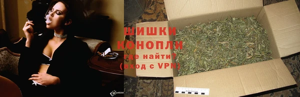 ГАЛЛЮЦИНОГЕННЫЕ ГРИБЫ Белокуриха