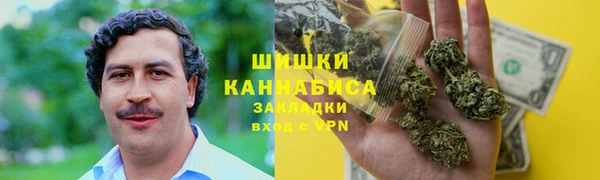 ГАЛЛЮЦИНОГЕННЫЕ ГРИБЫ Белокуриха