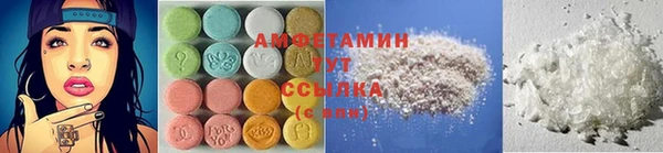 ГАЛЛЮЦИНОГЕННЫЕ ГРИБЫ Белокуриха