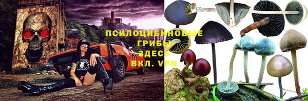 бутират Снежинск