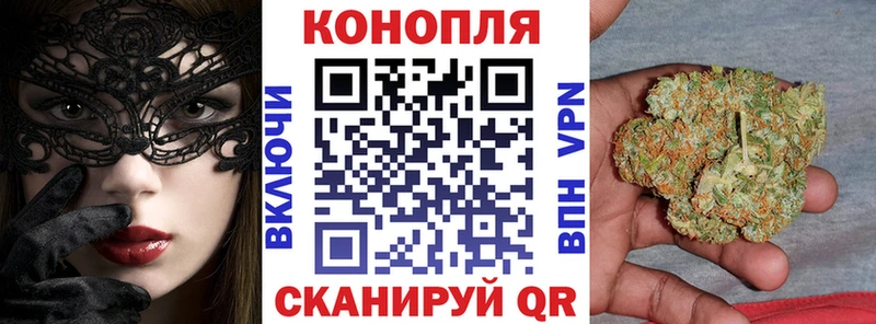 Бошки марихуана THC 21%  Вышний Волочёк 